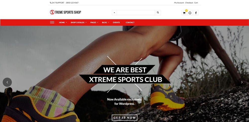 Xtreme Sports Theme, WordPress Maintenance, wpaos
